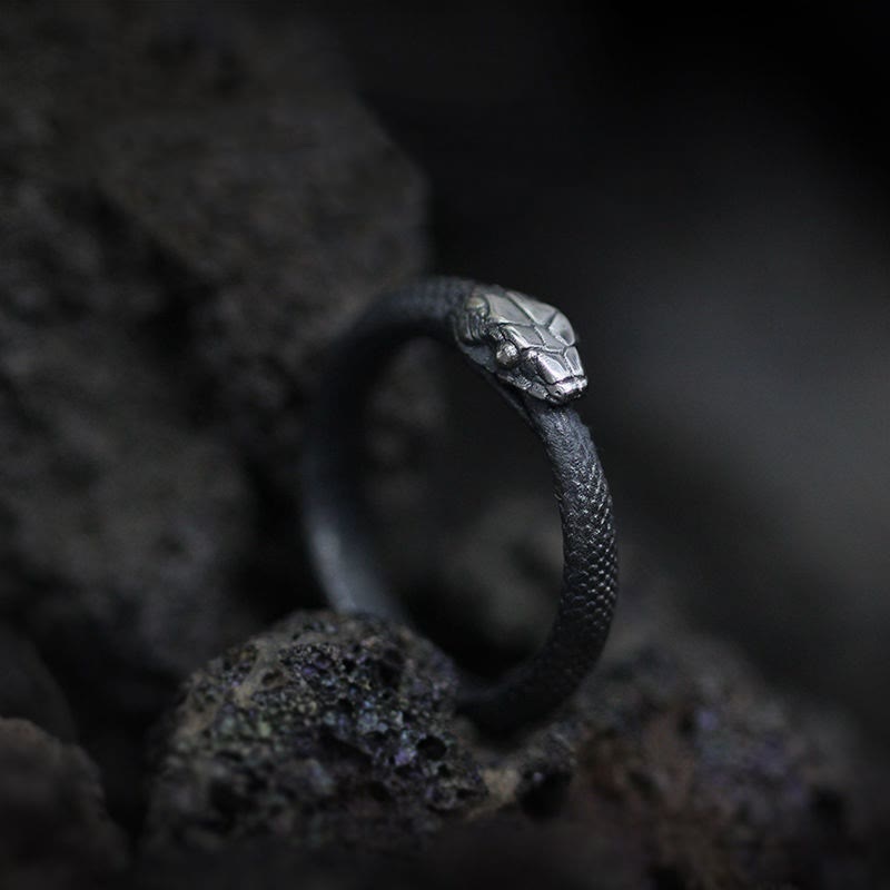 WorldNorse Wikinger Ouroboros Unisex verstellbarer Ring