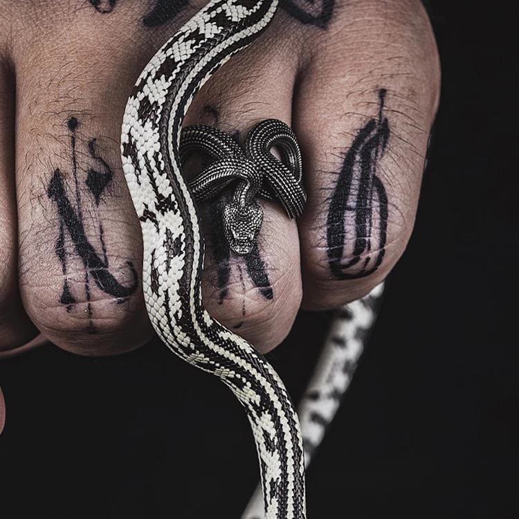 WorldNorse Entfesseln Sie Ihren wilden Side Twisted Viper Ring