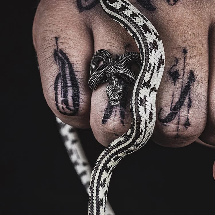 WorldNorse Entfesseln Sie Ihren wilden Side Twisted Viper Ring