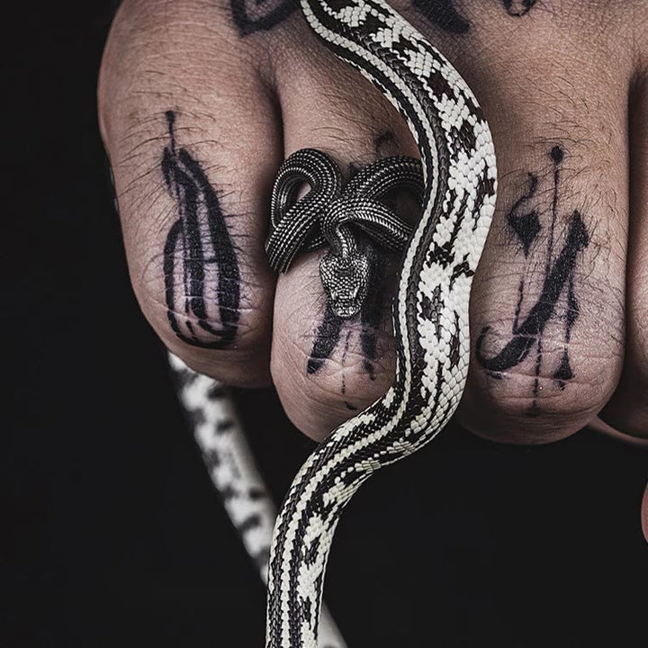 WorldNorse Entfesseln Sie Ihren wilden Side Twisted Viper Ring