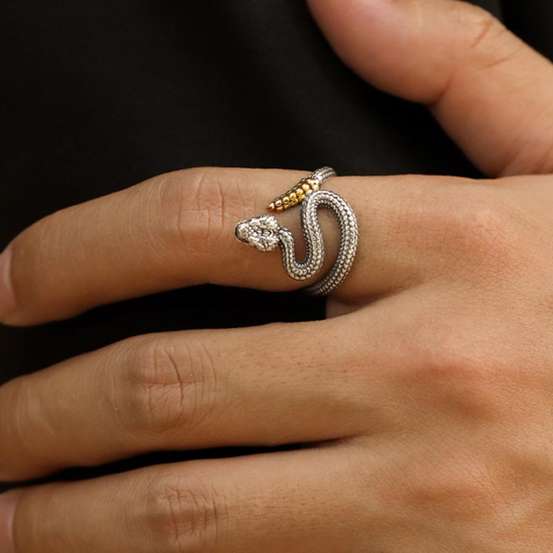 WorldNorse Offener Schlangenring aus 925er Sterlingsilber