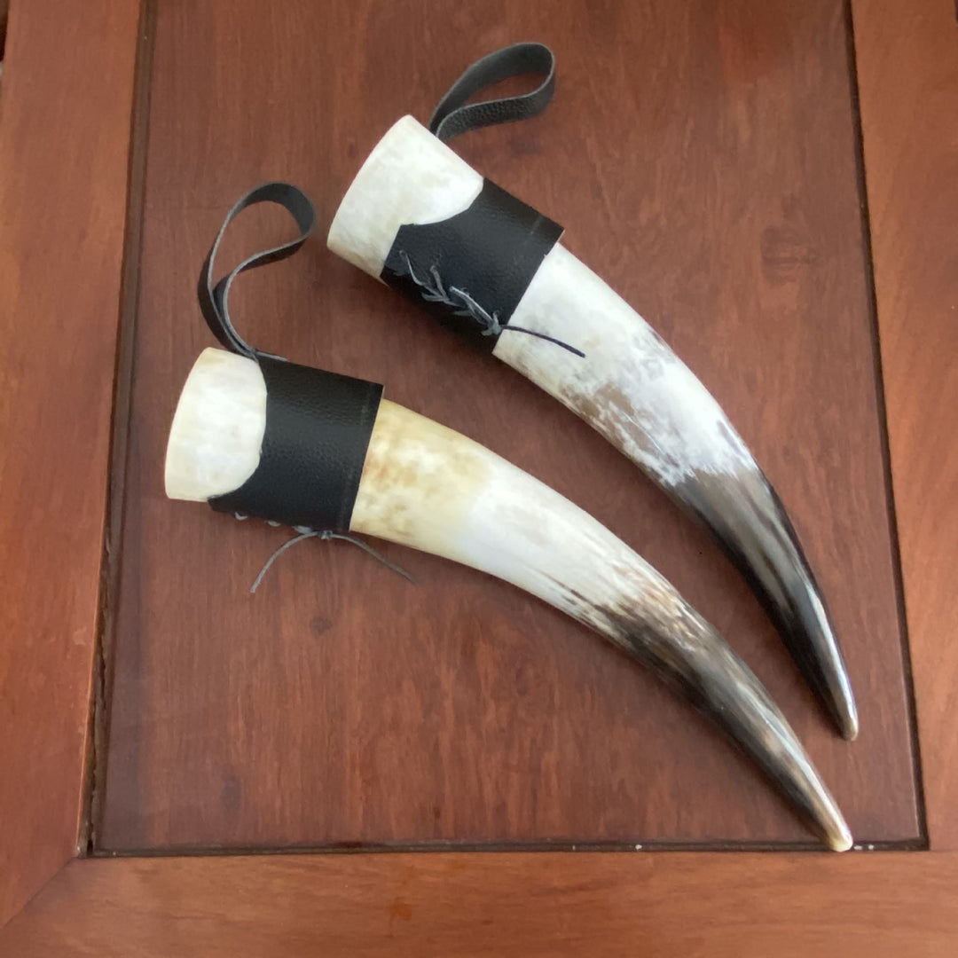 WorldNorse Handgefertigtes Trinkhorn mit Ständer