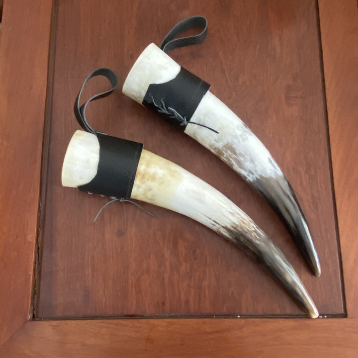 WorldNorse Handgefertigtes Trinkhorn mit Ständer