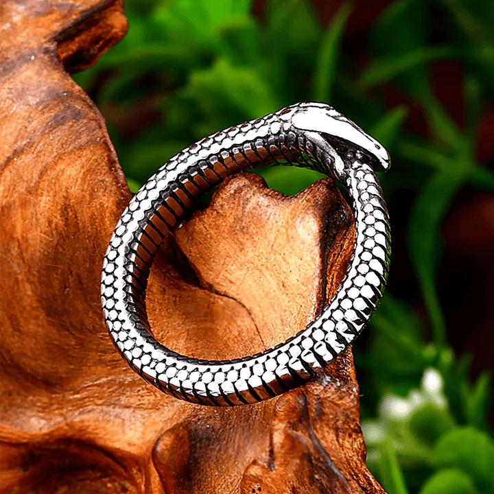 WorldNorse Klapperschlange Titan Stahlring