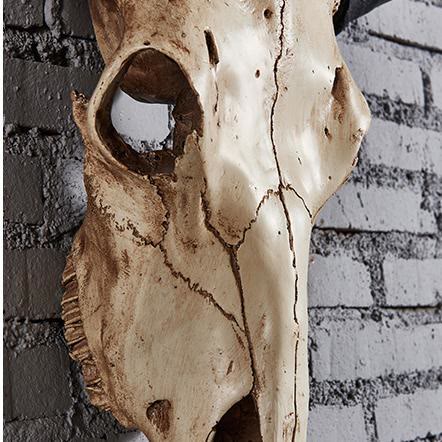 WorldNorse Tierkopf Long Horn Totenkopf Wanddekoration