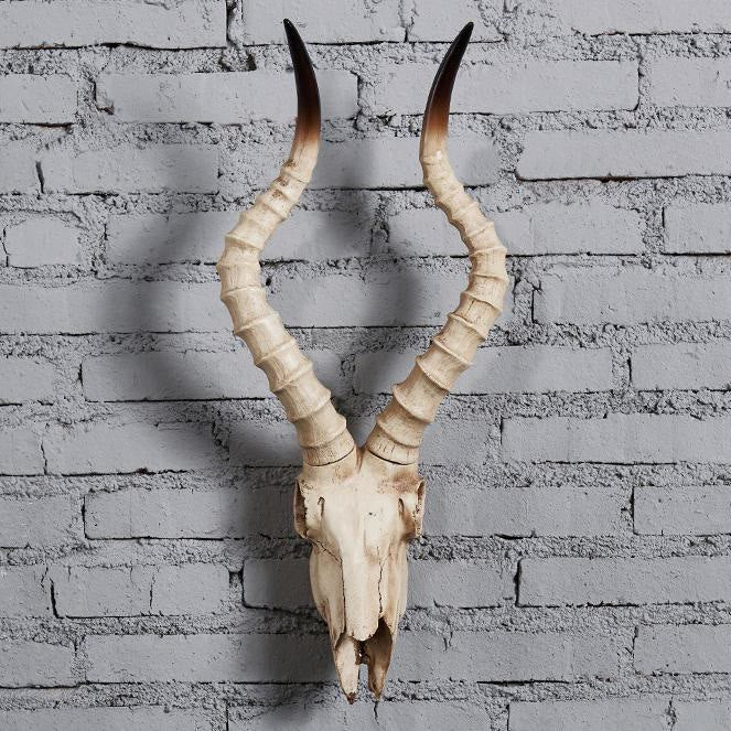 WorldNorse Faux Long Horn Widder Schädel Dekor
