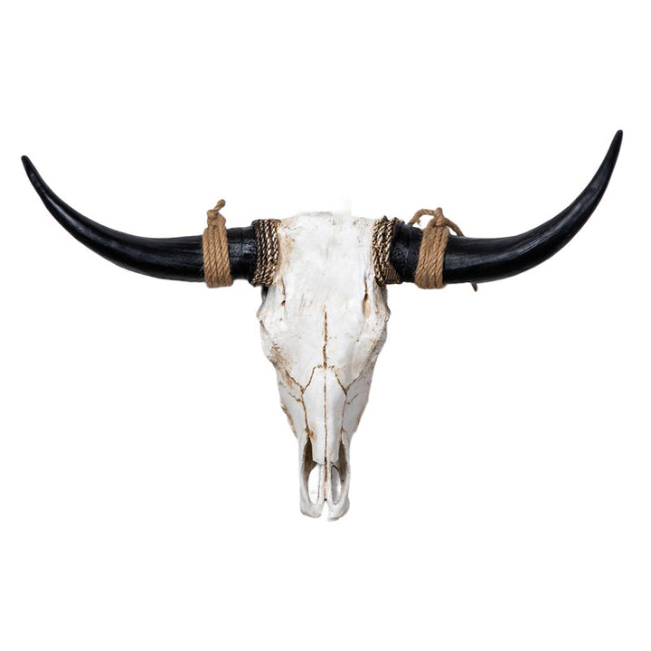 WorldNorse Long Horn Kuhschädel Wanddekoration - Schwarzes Horn - Zerlegt - image 0
