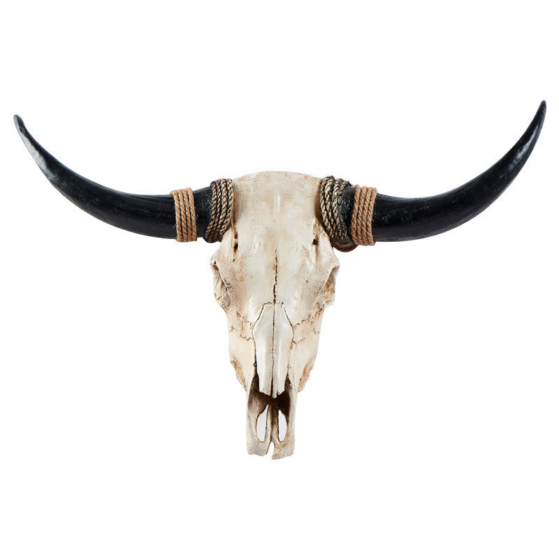 WorldNorse Long Horn Kuhschädel Wanddekoration - Schwarzes Horn - Integriert - image 2