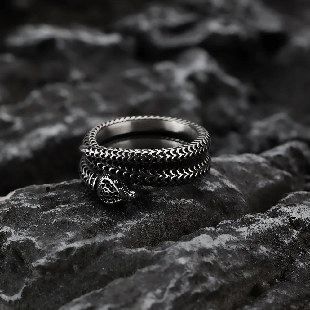 WorldNorse Schlangenkönig Spiralring aus Titanstahl