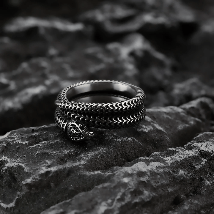 WorldNorse Schlangenkönig Spiralring aus Titanstahl