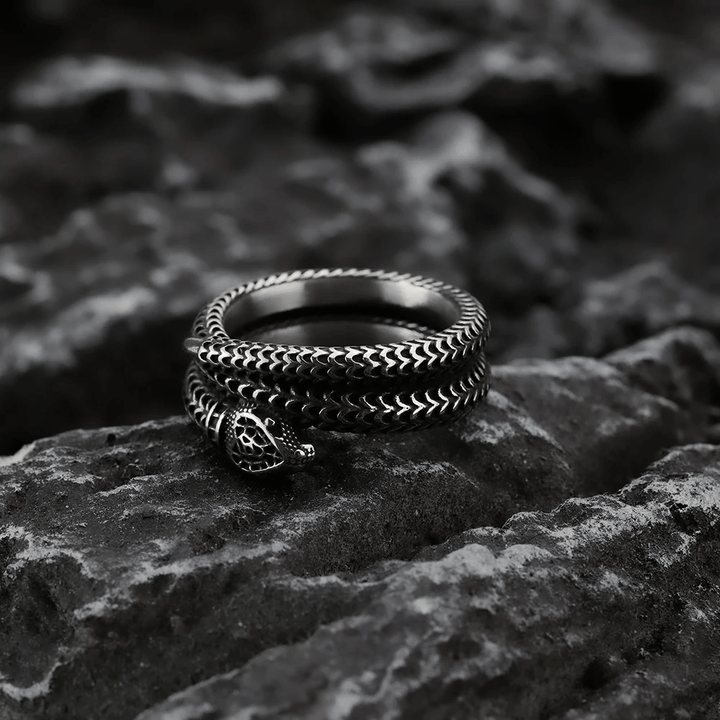 WorldNorse Schlangenkönig Spiralring aus Titanstahl - image 8