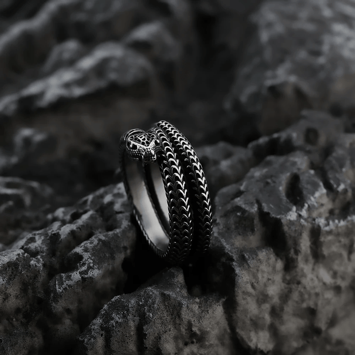 WorldNorse Schlangenkönig Spiralring aus Titanstahl