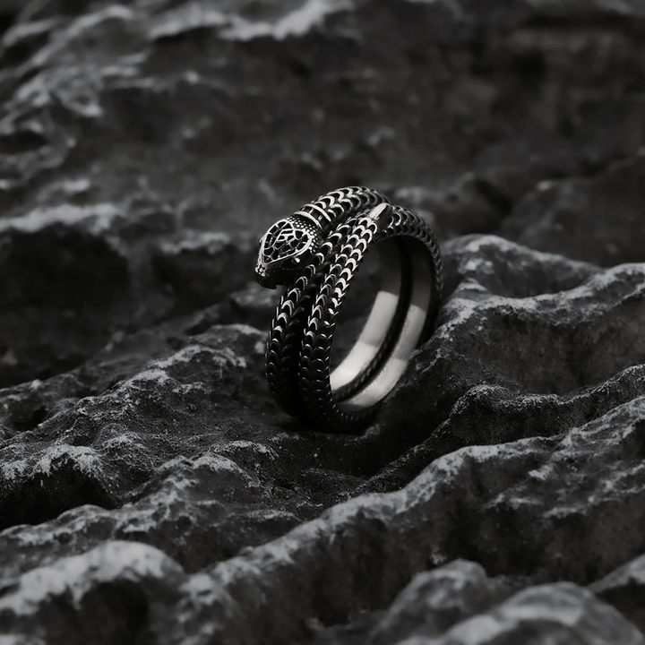 WorldNorse Schlangenkönig Spiralring aus Titanstahl - image 4