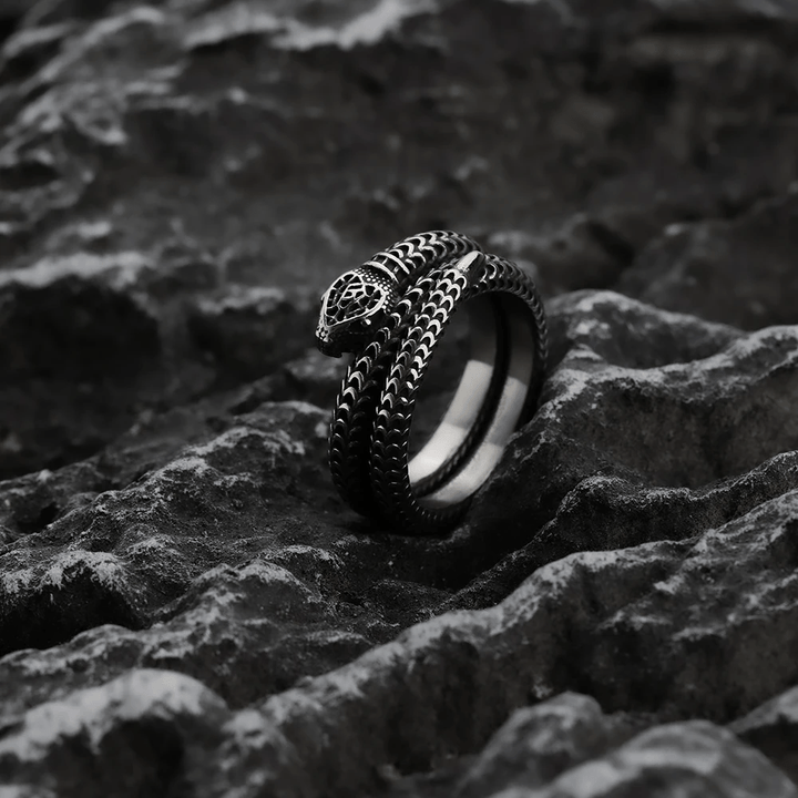WorldNorse Schlangenkönig Spiralring aus Titanstahl