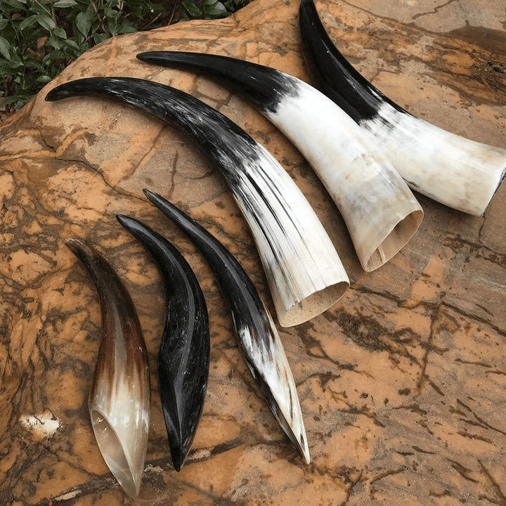 Handgefertigtes authentisches Trinkhorn von WorldNorse - image 0